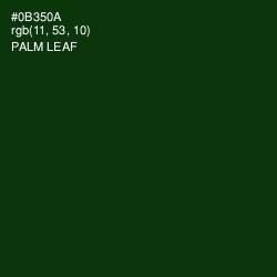 #0B350A - Palm Leaf Color Image